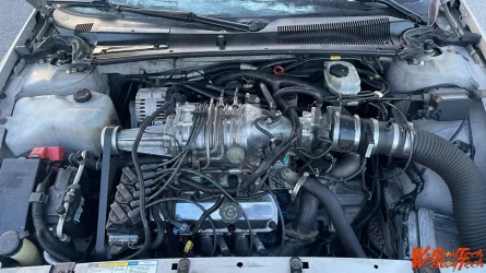 IMG_7314.webp IMG_7314.webp