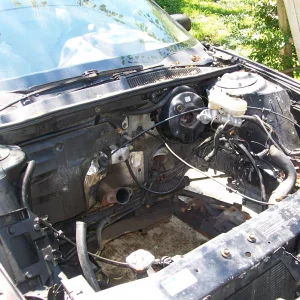 TGP 5 Speed Swap 2011 135.webp